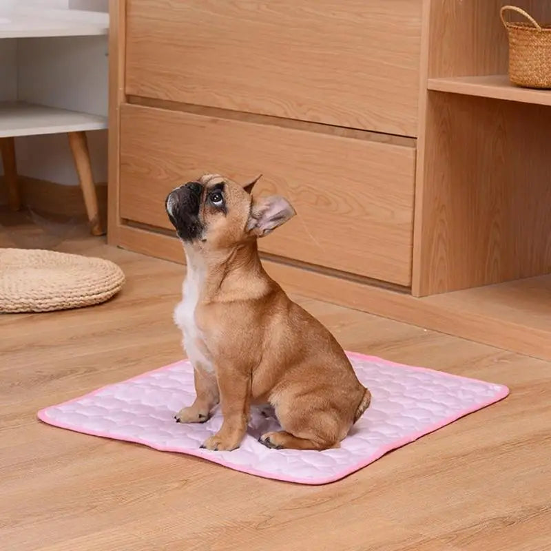 Breathable Cooling Mat for Dogs
