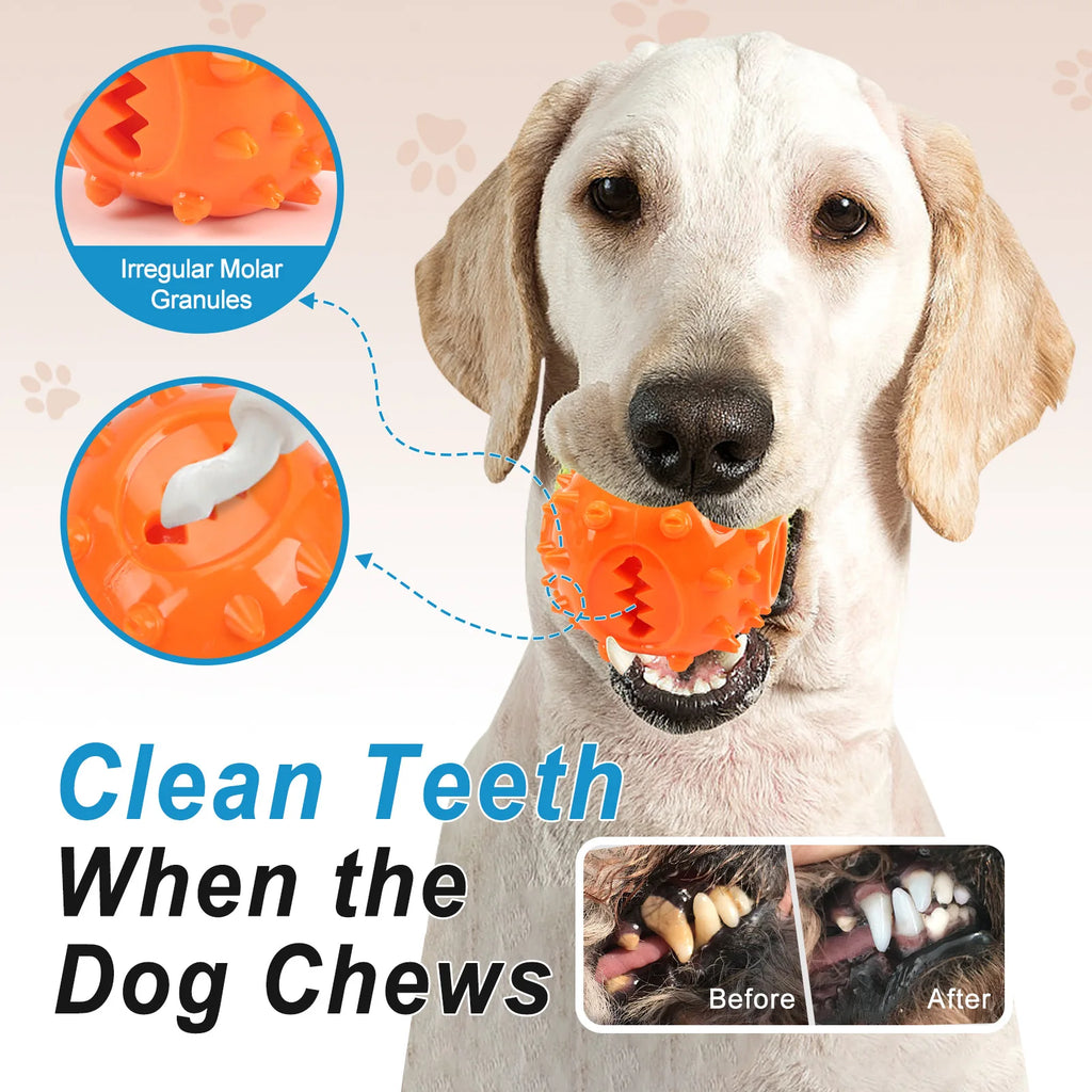 Interactive Chew Treat Dispensing Ball for Dogs