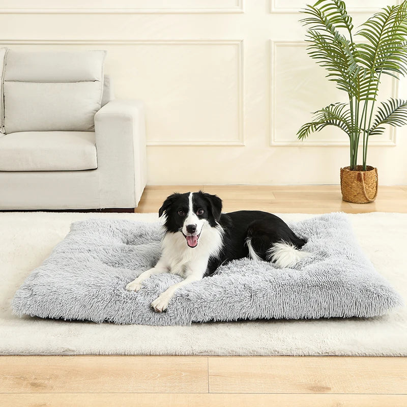 Soft Calming Plush Dog Beds