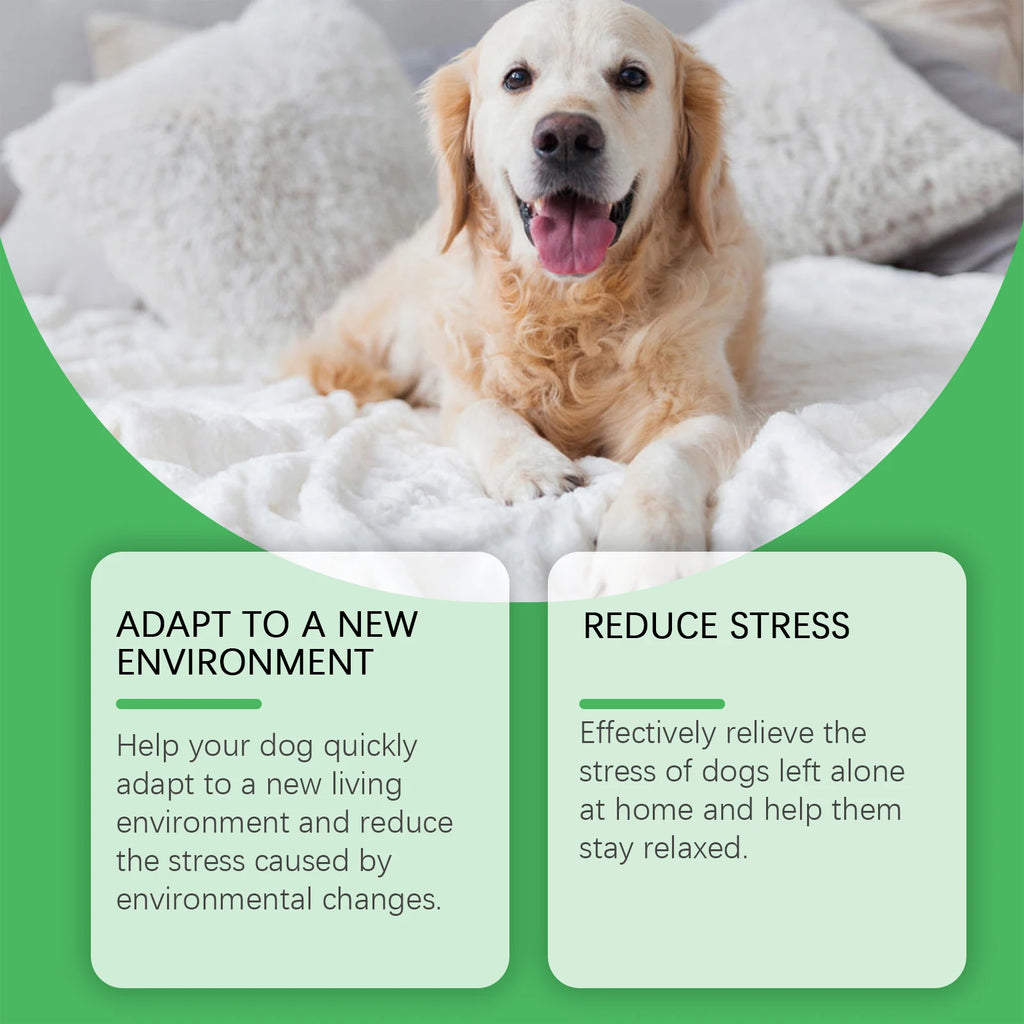 Dog Calming Diffuser Kit – Relieve Anxiety & Stress