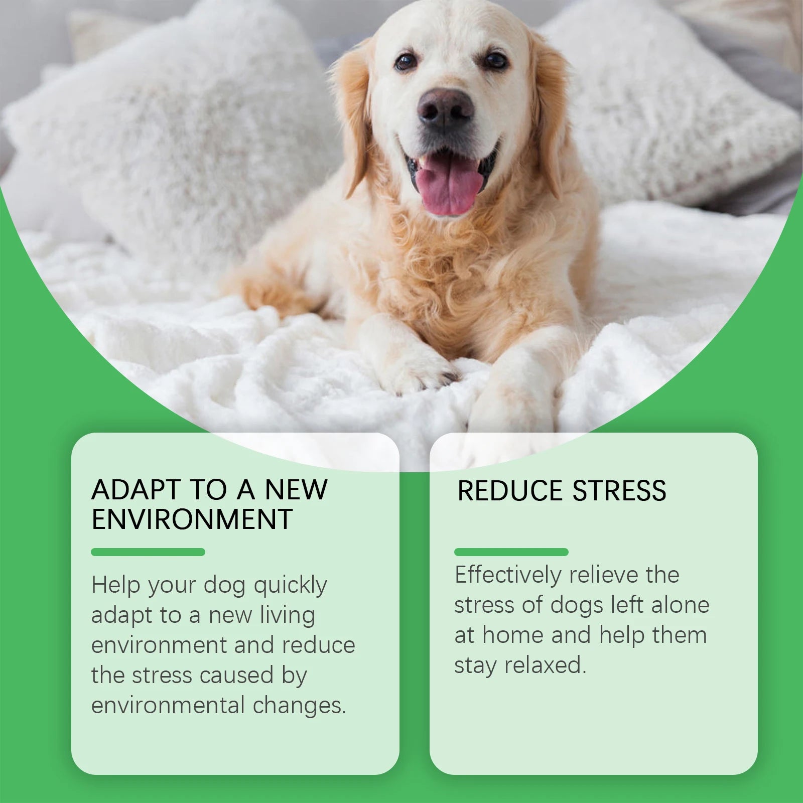 Dog Calming Diffuser Kit – Relieve Anxiety & Stress