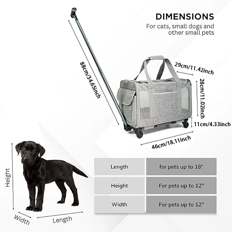 Airline Approved Dog Carrier