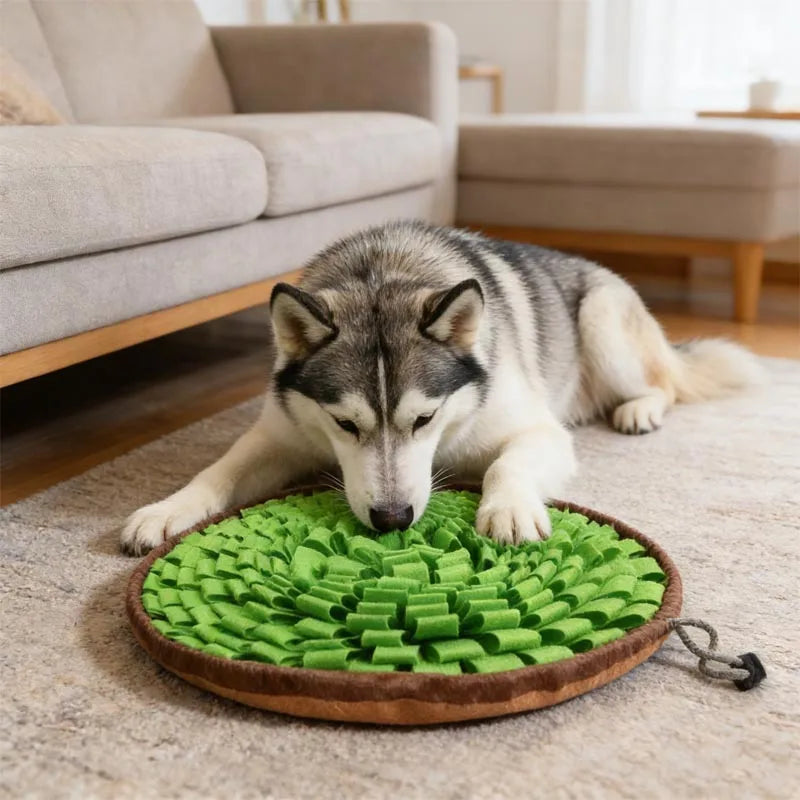 Dog Snuffle Mat – Interactive Anxiety & Boredom Relief Toy