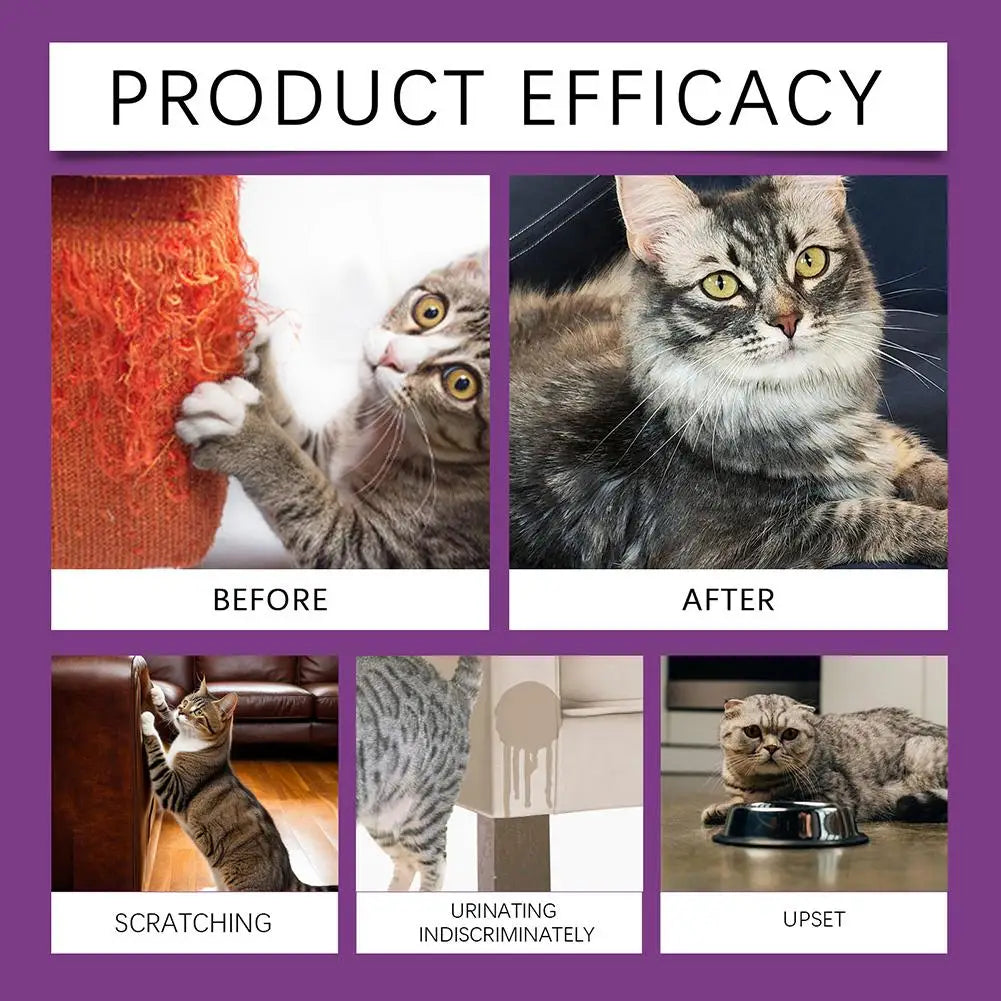 1/2/3pcs Pet Calming Spray Pet Pheromone Cat Emotional Soothing Spray Improve Estrus Agitation Pet Anxiety Relief Spray Cat Dog