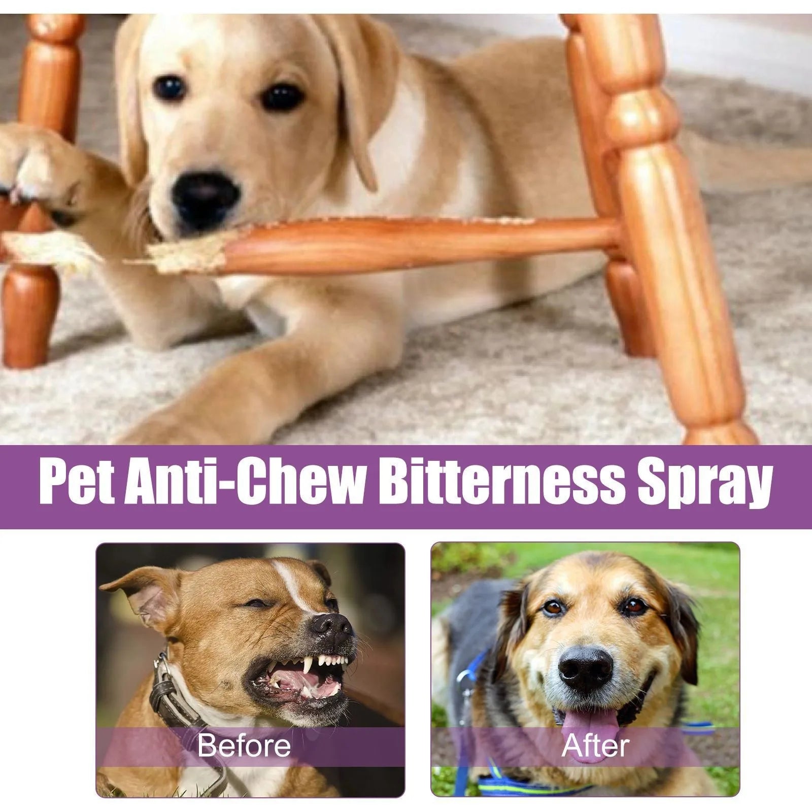 CalmPaws™ Dog Anxiety Relief Spray (50ml)
