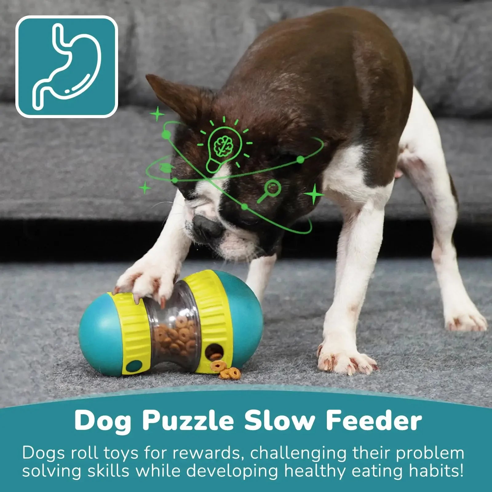 Adjustable Slow Feeder Ball – Anxiety Relief Dog Toy