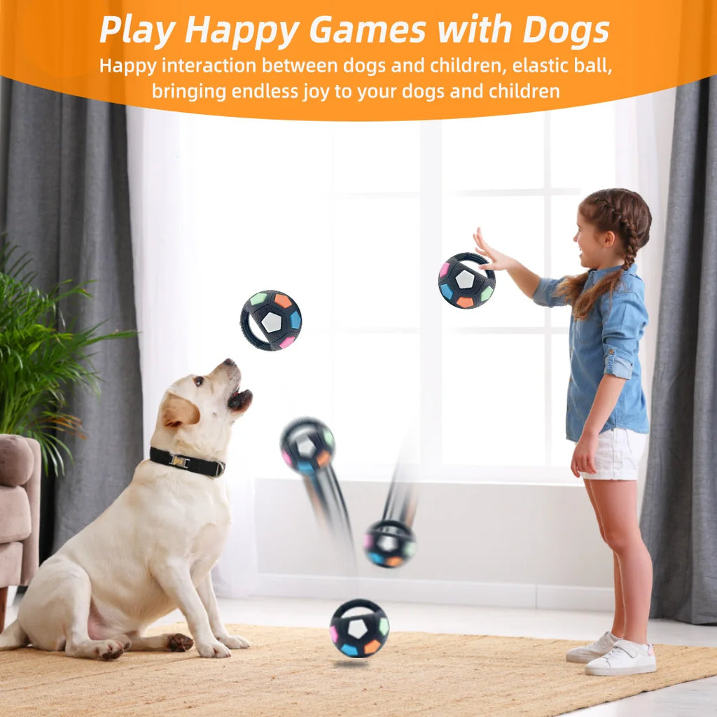 Dog Anxiety Relief Football Tennis Ball Toy – Durable Chew & Squeak