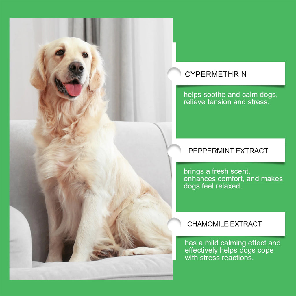 Dog Calming Diffuser Kit – Relieve Anxiety & Stress