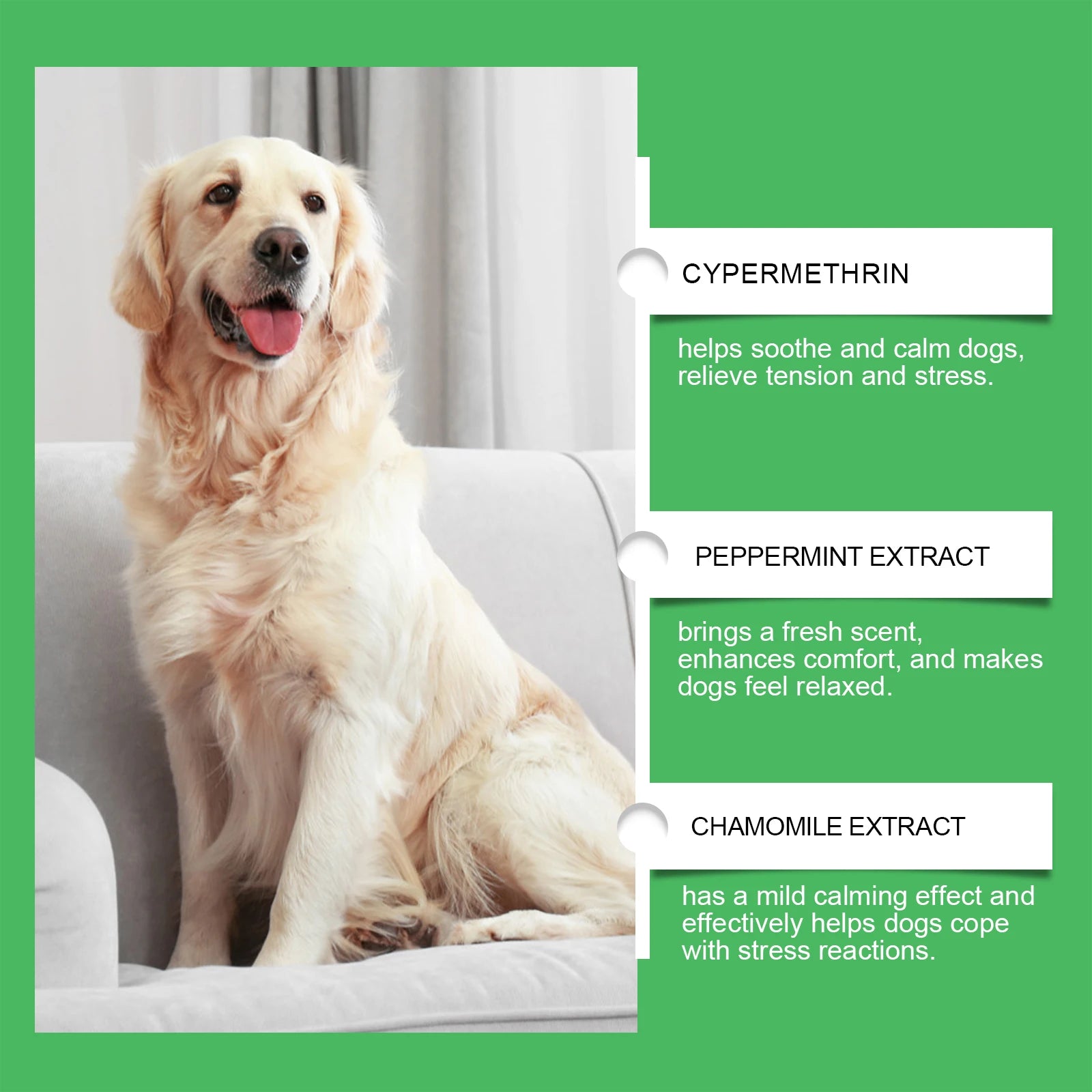 Dog Calming Diffuser Kit – Relieve Anxiety & Stress