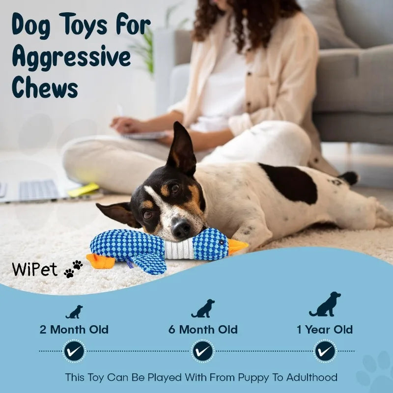 Anxiety Relieving Dog Toys for Aggressive Chewers