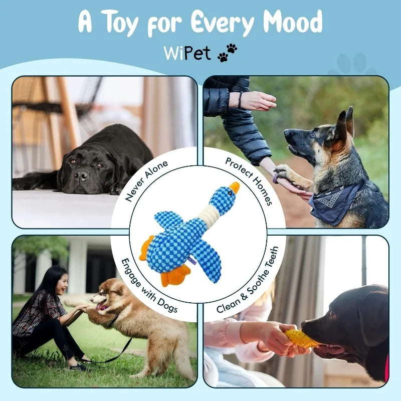 Anxiety Relieving Dog Toys for Aggressive Chewers