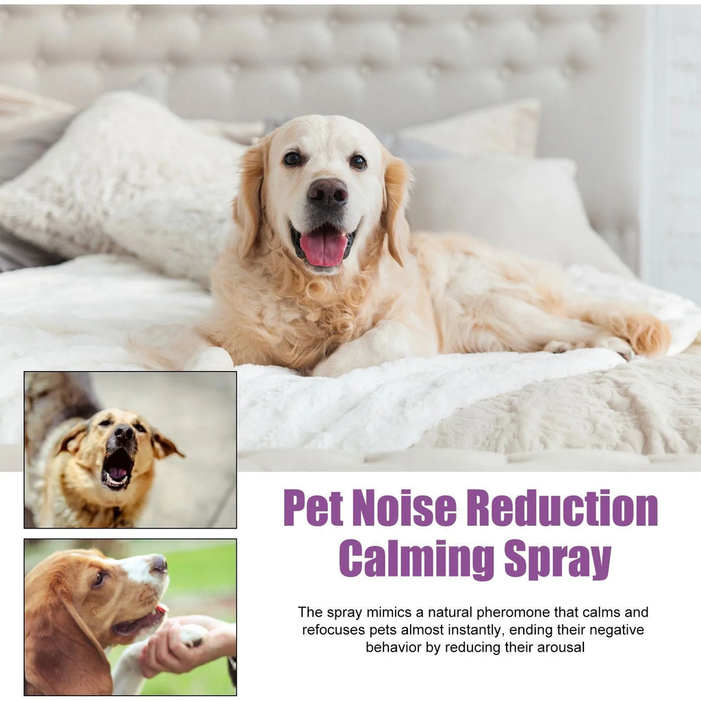 CalmPaws™ Dog Anxiety Relief Spray (50ml)