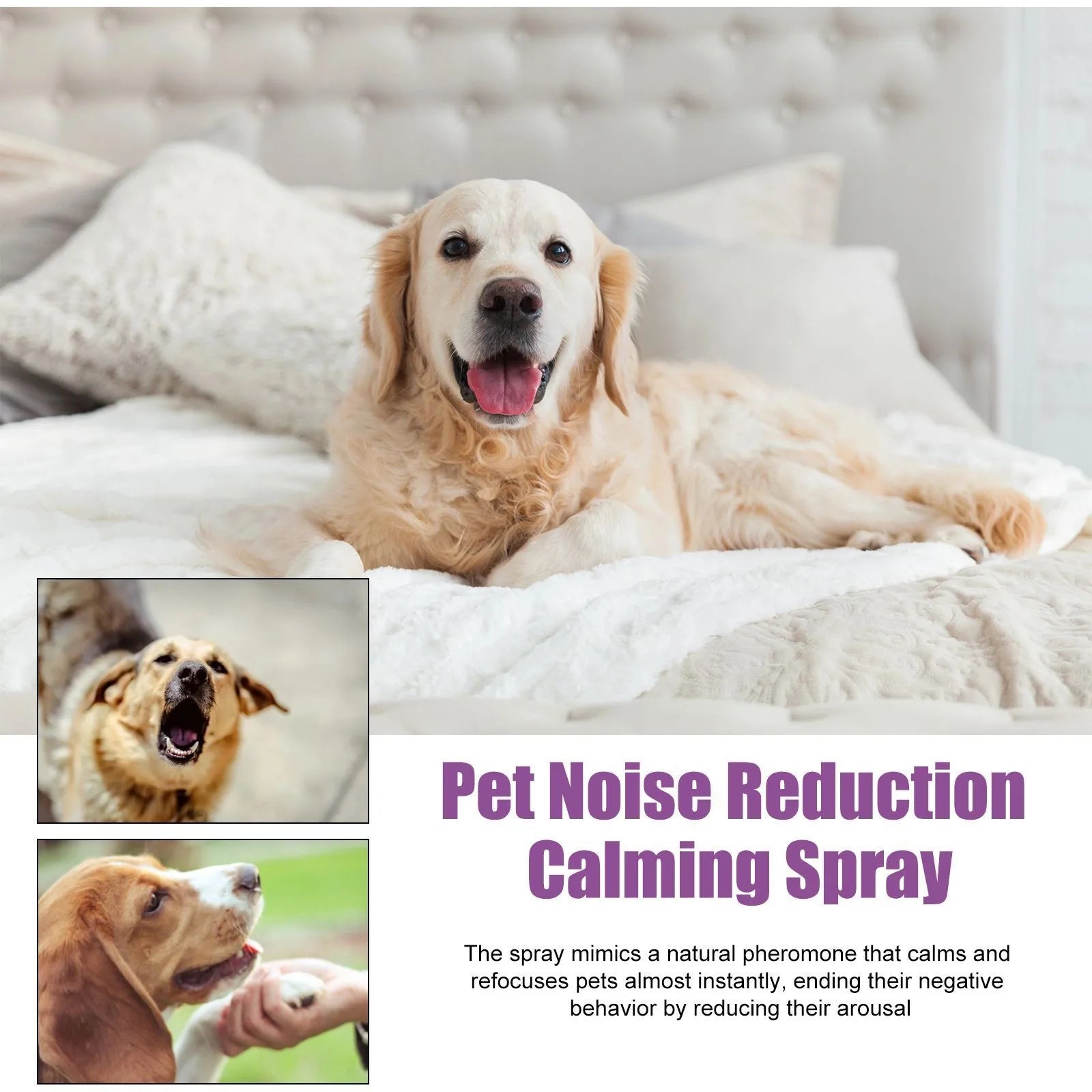 CalmPaws™ Dog Anxiety Relief Spray (50ml)