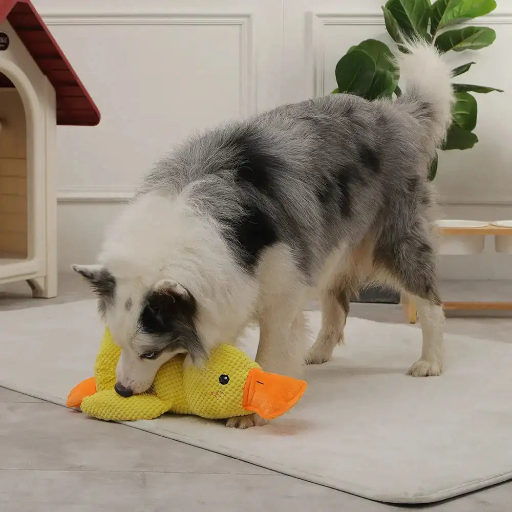 Calming Duck Dog Toy – Plush Squeaky Anxiety Relief Chew Toy