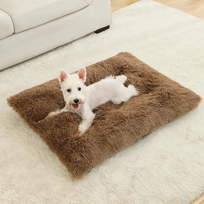 Soft Calming Plush Dog Beds