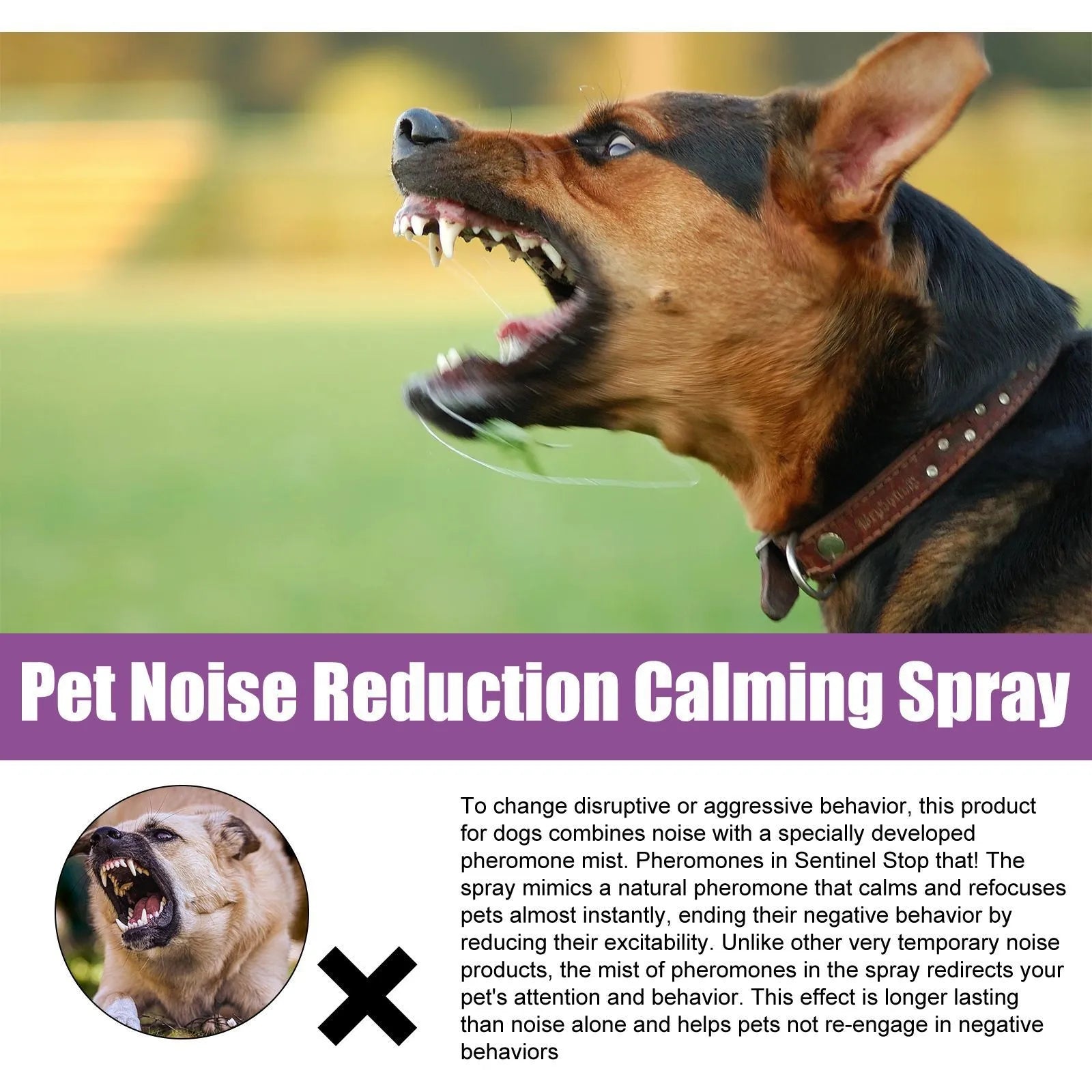 CalmPaws™ Dog Anxiety Relief Spray (50ml)