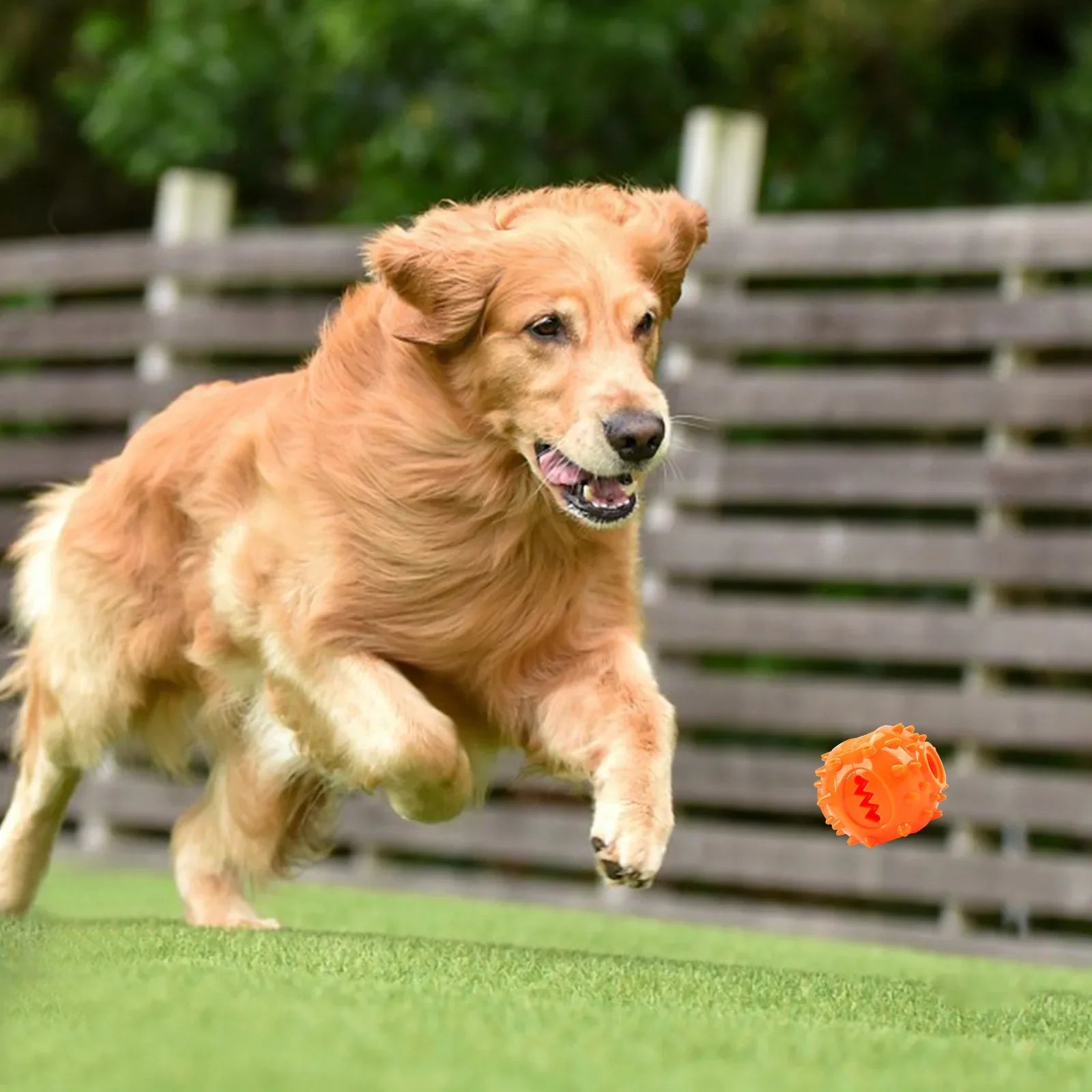 Interactive Chew Treat Dispensing Ball for Dogs