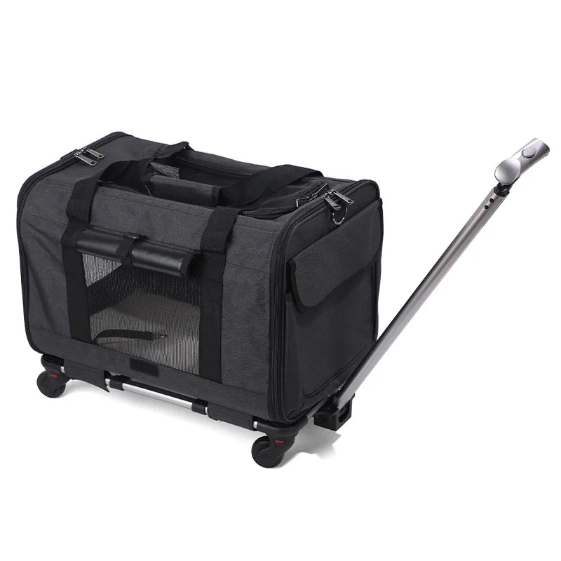 Airline Approved Dog Carrier