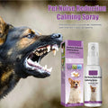 CalmPaws™ Dog Anxiety Relief Spray (50ml)