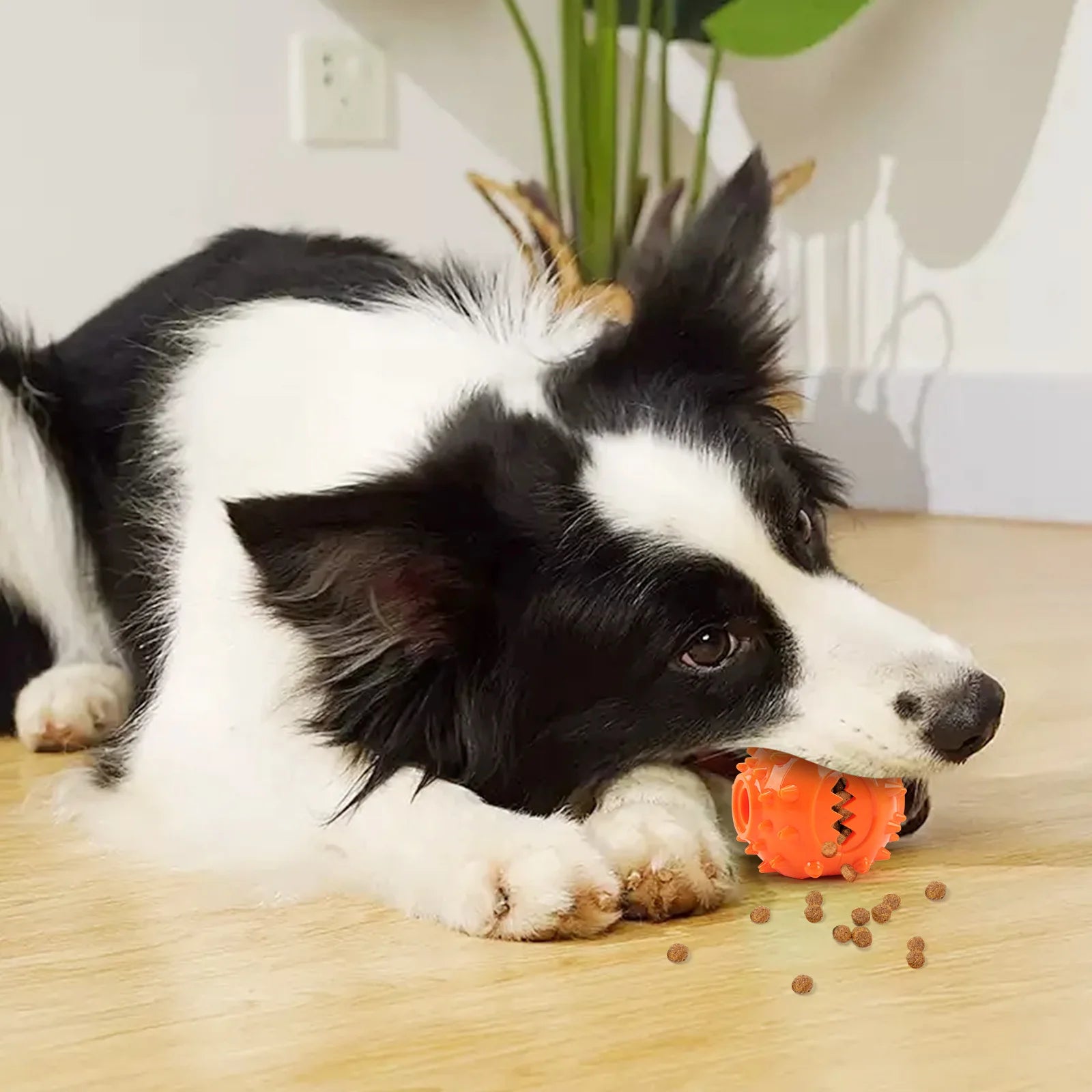 Interactive Chew Treat Dispensing Ball for Dogs