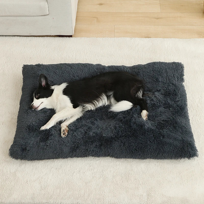Soft Calming Plush Dog Beds
